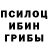 Галлюциногенные грибы Psilocybe Travis Woods